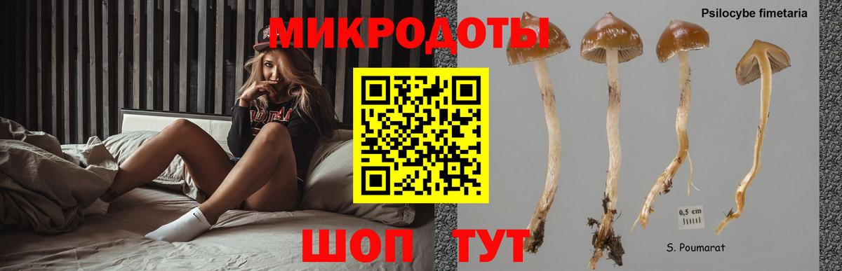 Галлюциногенные грибы мицелий Вязьма