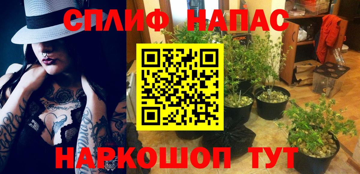 Канабис VHQ Вязьма
